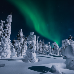anicotravel mikulas2026 3
